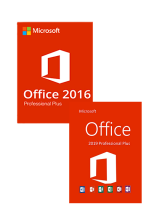 Office 16 Professional Plus + Office 19 Professional Plus Key Pack